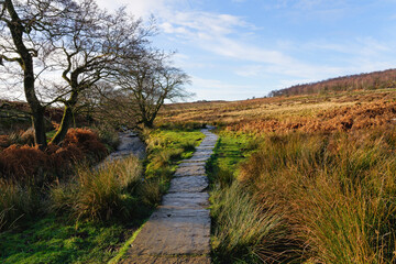 Obraz premium Cold December morning in the Derbyshire countryside