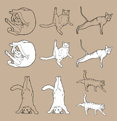 Fototapeta na wymiar Cartoon Doodle Comic Outline Vector Seamless Pattern And Background Of Zen Meditating Cats In Yoga Pose and Asana, Namaste