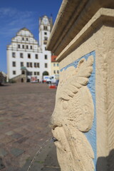 Oschatz, Marktbrunnen und Rathaus
