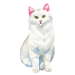 white cat drawn digital painting watercolor illustration
