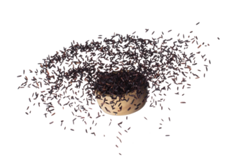 Riceberry rice explosion flying wooden bowl, black purple berry grain wave floating, fall down in air. Rice Berry is organic healthy food. White background Isolated high speed shutter, freeze stop