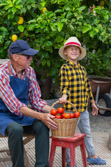 Senior man, farmer and young boy holding harvest of tomato