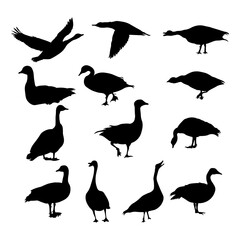Set of goose animal silhouettes various styles