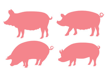 A quality pink and white vector illustration of a pig.