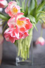 Bouquet of pink tulips close up