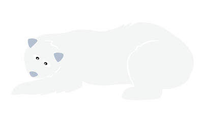 a sleep polar bear isolated on transparency background