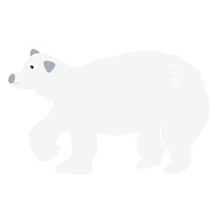 polar bear is walking isolated on transparency background