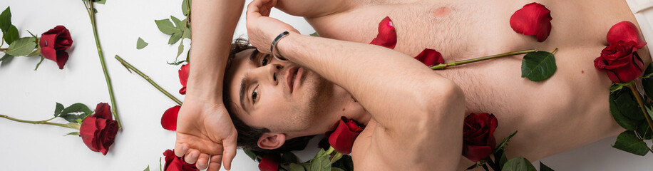 top view of brunette shirtless man lying near red fresh roses while looking at camera on white background, banner.