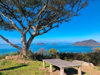 Obraz premium bench overlooking the sea