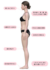 正しい立ち方と姿勢を解説している3dモデル女性のイラスト