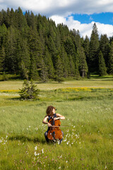 Woman plays the cello on a hot summer day in the middle of a meadow. . © alexandre zveiger