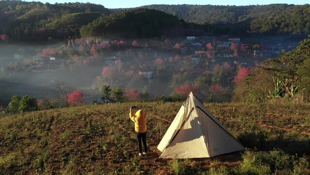 Tourists camping in tents take pictures of pink blossom Sakura flower or Prunus Cerasoides in full bloom in Ban Rong Kla Village with the natural high area at Phu Lom Lo Mountain Loei, and Phitsanulok