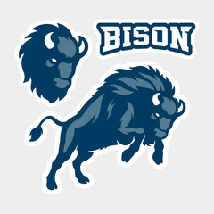 Bison Mascot Vector Illustration Design © Noviangraphic