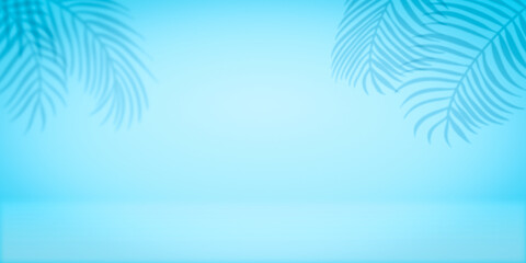 Fototapeta na wymiar palm tree background with studioo backdrop