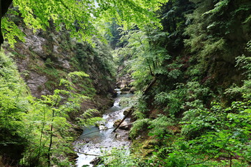 Fototapeta na wymiar The gorges of Pont-du-Diable are gorges crossed by the Dranse de Morzine in the Chablais massif in Haute-Savoie