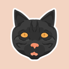 Illustration of a cat's head with hand-drawn technique