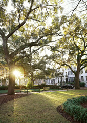 Quiet city square in the Savannah historic district in the morning