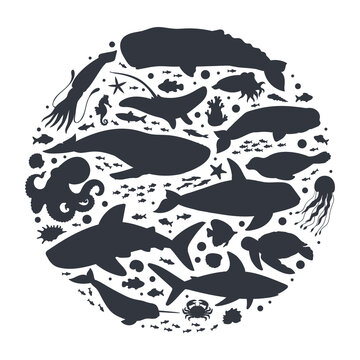 recommend clip art: Sea animals silhouettes. Cartoon ocean life fauna, orca, dolphin, underwater aquatic creatures, whale, narwhal and seal vector illustration on white background