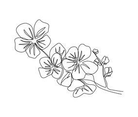 Continuous one line drawing of cherry blossom. Simple flower blossom line art vector illustration.