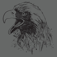 The American bald eagle. Black and white drawing