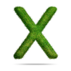 Green grass alphabet letter x for text or education concept
