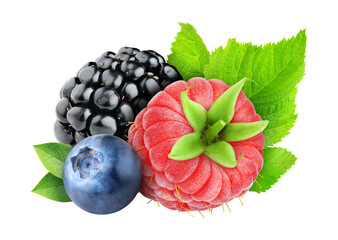 Fresh berries (raspberry, blackberry, blueberry) cut out
