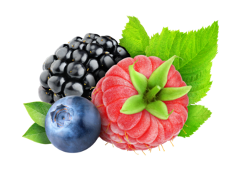 Fresh berries (raspberry, blackberry, blueberry) cut out