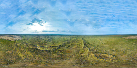 Panorama 360 of a blooming desert in spring from a bird's eye view