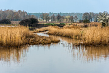 Der Fluss Ryck in Greifswald