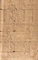 Fototapeta na wymiar Close up view of traditional Egyptian hieroglyphics on the wall in Horus Edfu temple in Aswan, Egypt