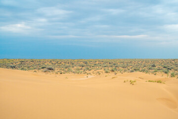 Fototapeta na wymiar Bright blue cloudy sky over the yellow desert of Kyzylkum Kazakhstan