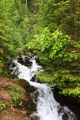 Fototapeta premium View on a waterfall just next to the Plagnes lake which is located in Haute-Savoie in the municipality of Abondance