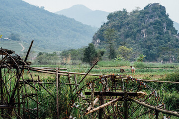 Bamboo Waterwheels & Man Ploughing Field, Pu Luong Vietnam