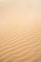Fototapeta na wymiar Texture of sand dunes as background top view