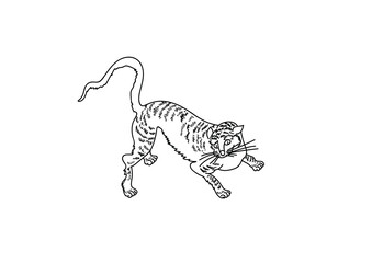illustration of a cat png