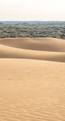 Sand dunes in the Kyzylkum desert Kazakhstan