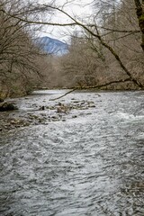 Obraz na płótnie Canvas mountain stream