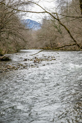 Obraz na płótnie Canvas mountain stream
