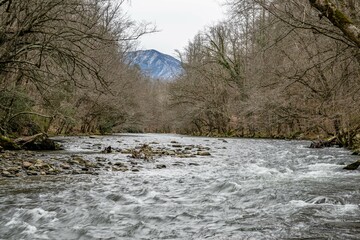 mountain stream