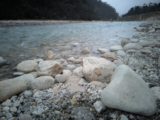 Low angle view of beautiful rocky Teesta river with snowfall and pine forests at Yumthang valley. It is the largest river in Sikkim, India