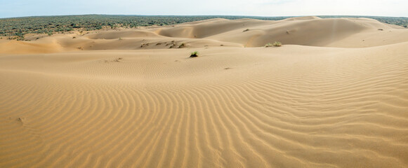 Fototapeta na wymiar Panorama 180 of the desert in spring from a bird's eye view.