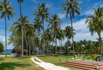 Fototapeta na wymiar Tropical Chenang beach with tall palm trees near the Andaman Sea on Langkawi island, Malaysia. Natural landscape of a tropical beach.