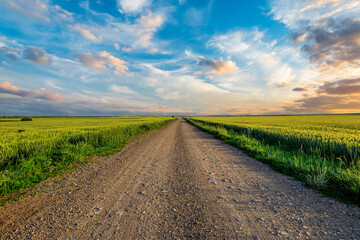 Country road and green wheat fields natural scenery at sunrise