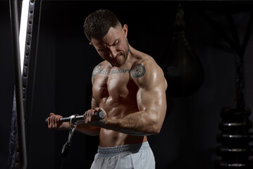 Fototapeta na wymiar Strong hands. Portrait of young muscular man training shirtless in gym indoors. Hand exercises. Concept of sport, workout, strength