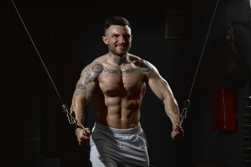 Fototapeta na wymiar Muscular man training shirtless in gym indoors. Doing lat pulldown exercises. Growing strength in hands. Relief body. Concept of sport, workout, strength