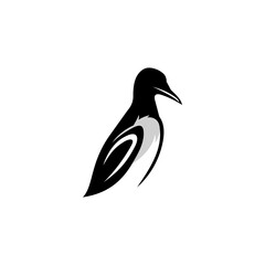 Murre logo design icon. Thick-billed Murre  logo design inspiration. Murre animal logo design template. Animal symbol logotype. Murre symbol silhouette.
