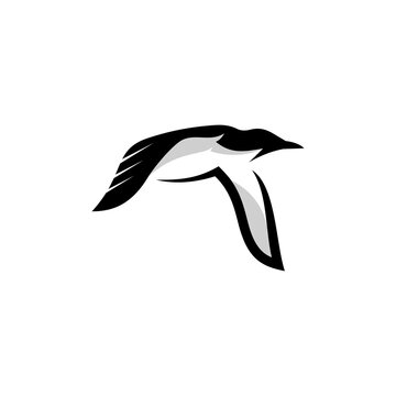 Murre logo design icon. Thick-billed Murre  logo design inspiration. Murre animal logo design template. Animal symbol logotype. Murre symbol silhouette.