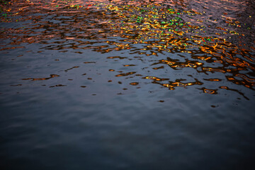 An abstract image of water with a reflection of evening electric illumination.