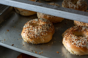 A view of a rack of everything bagels.