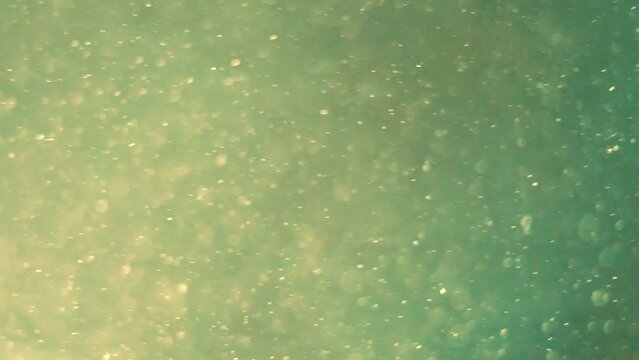 Schneeballeffekt Bilder Durchsuchen 9,924 Archivfotos,